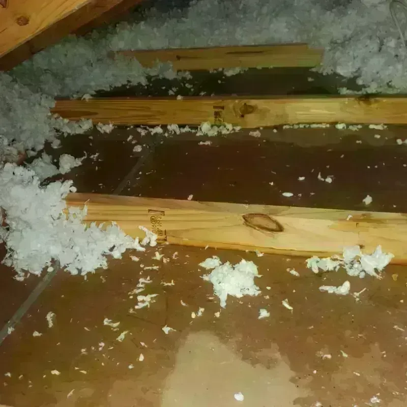 Attic Water Damage in Springboro, OH