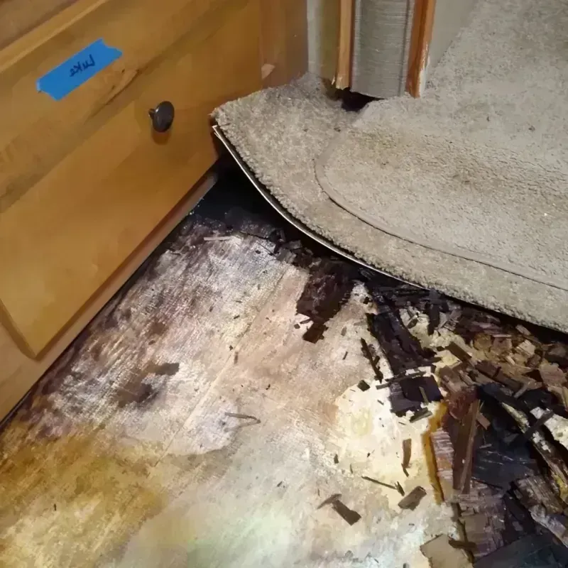 Wood Floor Water Damage in Springboro, OH